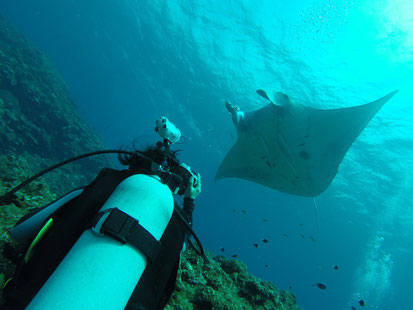 TAKU DIVE 石垣島のファンダイビングページです。