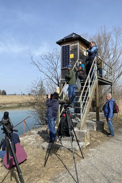Beobachtungsturm an der Loisach (Foto: Pit Brützel)