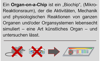 Innovative Biochips können Tierversuche und Zellkulturen ersetzen 