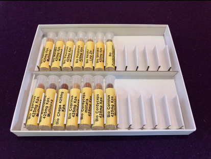 Bild: Testsatz Vitalpilze