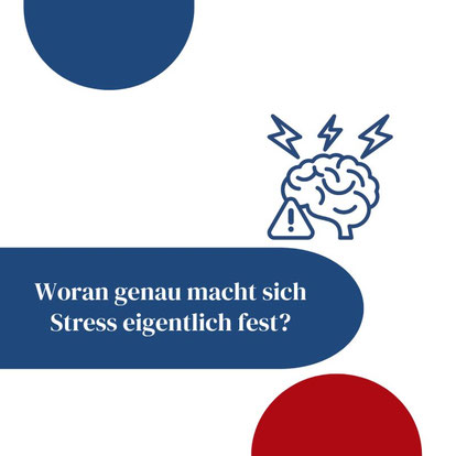 Dem Fachkräftemangel auf Augenhöhe begegnen: Der Berufserfolg hängt bis zu 50 % von den Soft Skills ab! Profitieren Sie davon, indem Sie die Soft Skills bei Maßnahmen gegen den Fachkräftemangel aktiv miteinbeziehen.