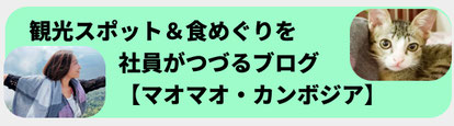 世界遺産【空中宮殿】サンボー・プレイ・クック観光