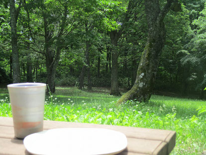 手作りの陶器と嵐山の風景