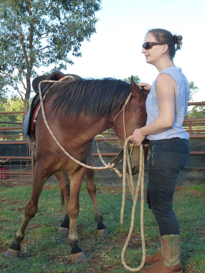 Bewusstes Horsemanship - achtsam mit Pferden kommunizieren