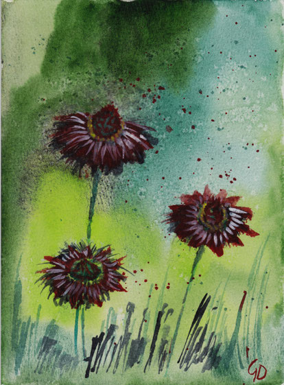 Strohblumen A5, 100 €