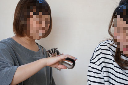 フクロモモンガのオフ会風景画像4