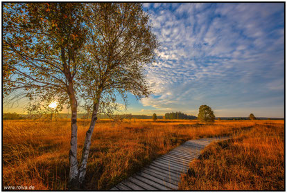 Brackvenn#Sonnenaufgang#Holzstege#Belgien#Hohes Venn#Roland Valter#rolva#Natur-Fotografie#Aachen 