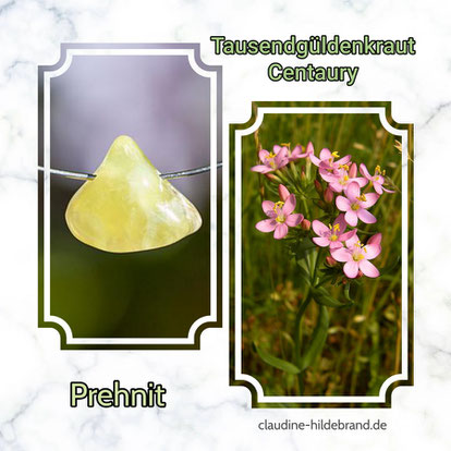 Prehnit - Centaury - Tausendgüldenkraut