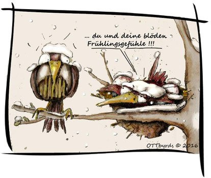 familienplanung, frühlingssgefühle,ottbyrds,bild,early bird,wintereinbruch, familie,nest