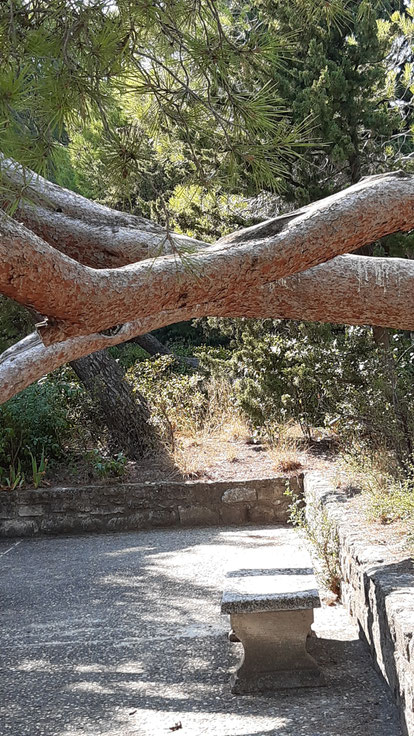 Bild: Les Jardins de l´Abbaye Saint André in Villeneuve-lès-Avignon 