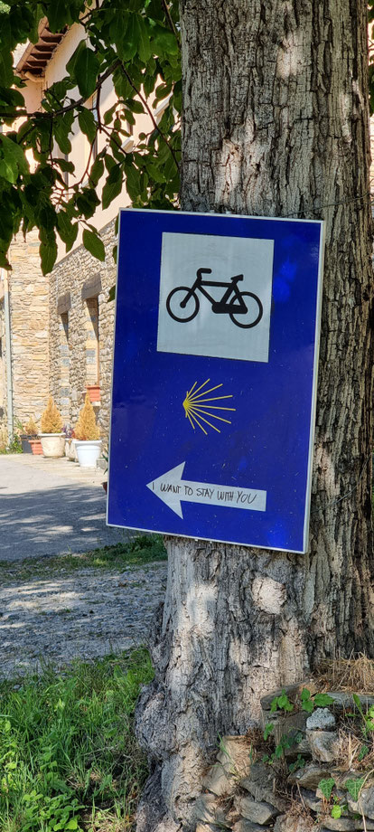 Die Botschaft