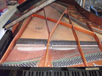 Piano 3/4 de queue Bösendorfer