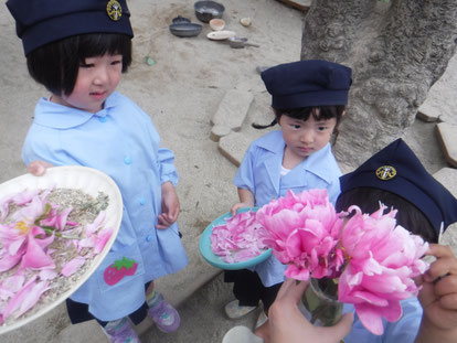 「大きなお花だね」