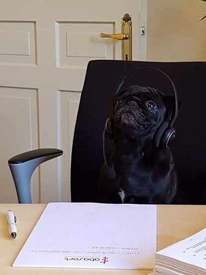 abasoft EVA Praxissoftware Bürohund