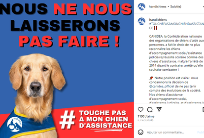 capture d'écran du post d'Handi'chiens sur les réseaux sociaux : un handi'chiens avec derrière nous ne nous laisserons pas faire ! #touche pas à mon chiens d'assistance