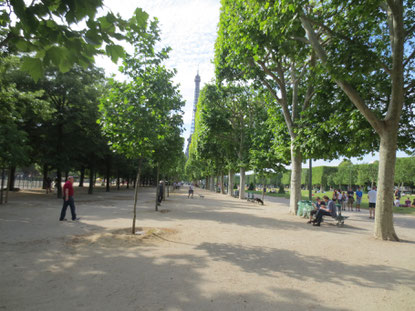 シャンド・マルス公園の林道