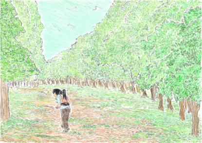 ヒカルと夢の桜の木05