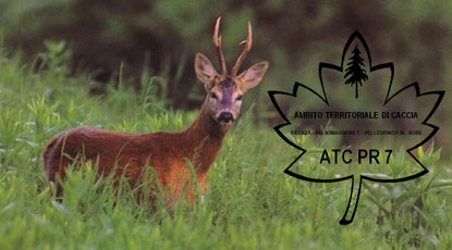 Sito Ufficiale ATCPR7