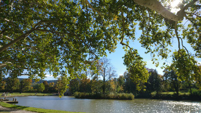 Park Schloss Hernstein