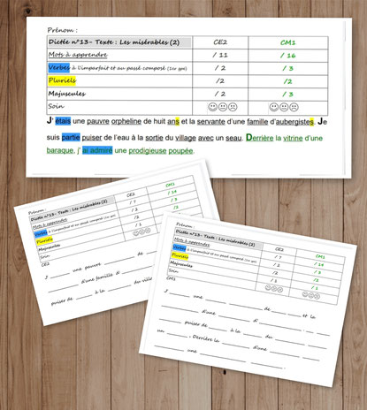 Orthographe Dictées Picot Grammaire Méthode Picot Correction CE2 CM1 cycle 2 cycle 3