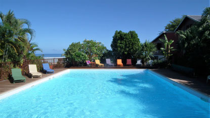 Piscine de la résidence de 14m x 9m avec petit et grand bain