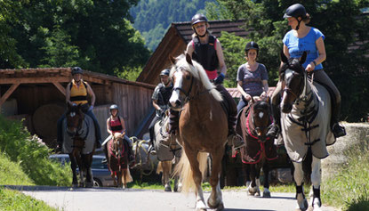Reitschule - Reiterhof Schwarz