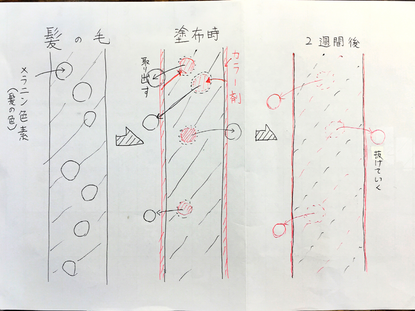 カラーリングのムラはどうしたら治る?