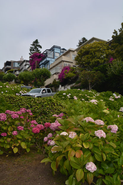 Lombard Street & Gardens