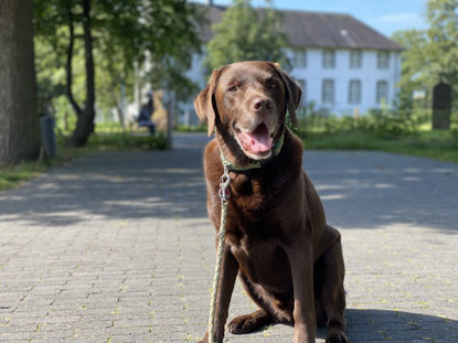 Dorenburg, Niederrhein, Freilichtmuseum, Räuberhund, Schatzsuche