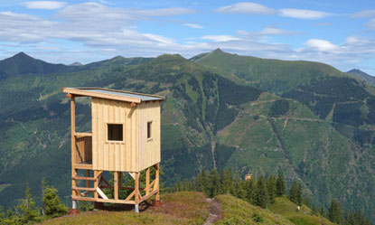Riesneralm in der Steiermark mit Almhütte und Bergpanorama nahe dem Salzkammergut