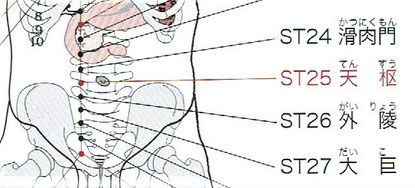 胃経：天枢