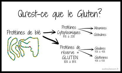 Intolérance au gluten : est-ce le blé ou la méthode de fabrication qui pose  problème ? - Top Santé