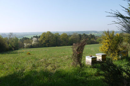 Miel et pains d'épices du Morbihan
