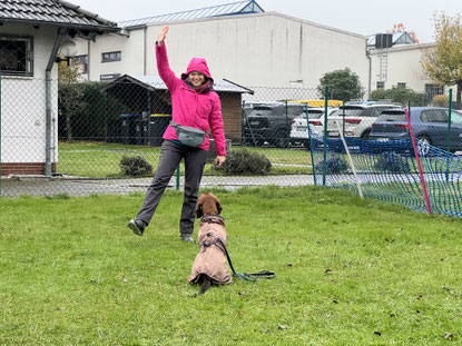 Junghundekurs, Hundetraining, Hundeschule, Butzbach, World of Dogs