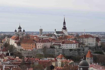 Domberg von Tallinns Altstadt