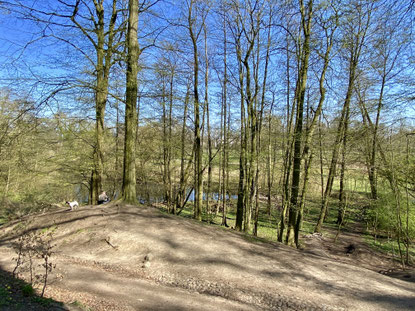 Parkblick 