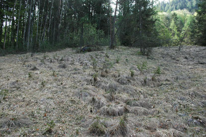 Fotos: Toni Wegscheider