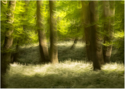 Nature in Motion