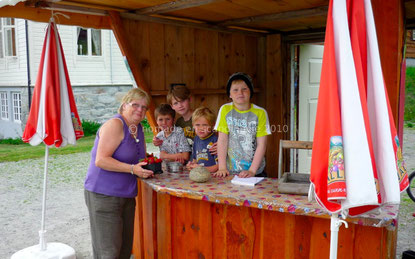 fraises Valldal