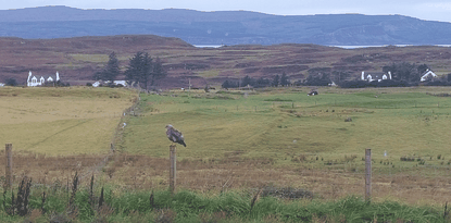 The Lighthouse Cottage - Portree