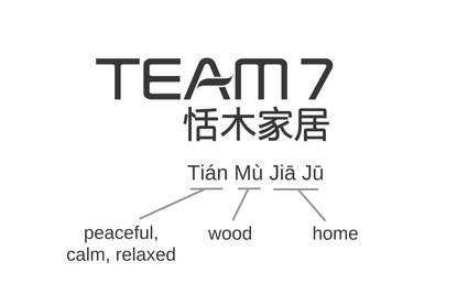 Chinese brand name for TEAM 7