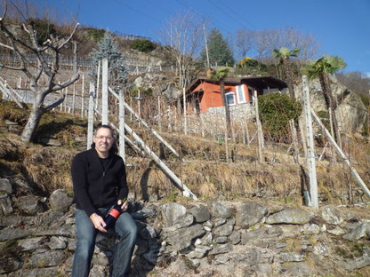 Francesco Welti und sein Rebberg im Tessin.