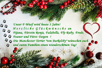 Happy Birthday! Unserer F-Wurf wird heute 3 Jahre!