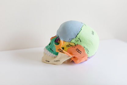 Craniosacrale Koerperarbeit Coaching in Zirndorf