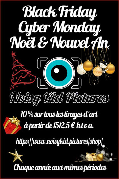 La Belgique, Bruxelles, Jodoigne, Namur, Wavre et la photographie fêtent le Black Friday, le Cyber Monday, Noël et le Nouvel An