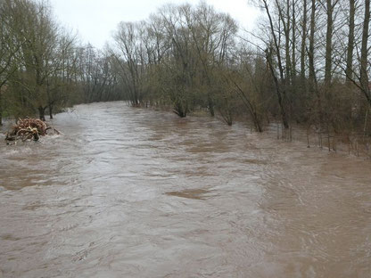 Hochwasser Weihnachten 2023 - Oderbrücke Ri. Hattorf