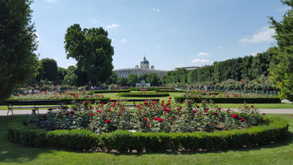 (c) Herbert Wagner (2015), Volksgarten Wien