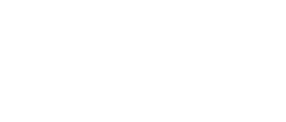 Floristik, die fasziniert! pusteblume-berne