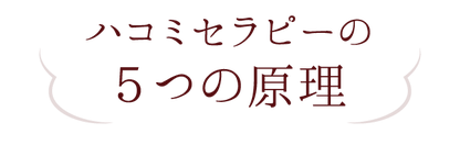 ハコミセラピーの５つの原理