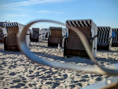 Strandkörbe mit Möwe in Warnemünde - Foto: Cornelia Stiftel